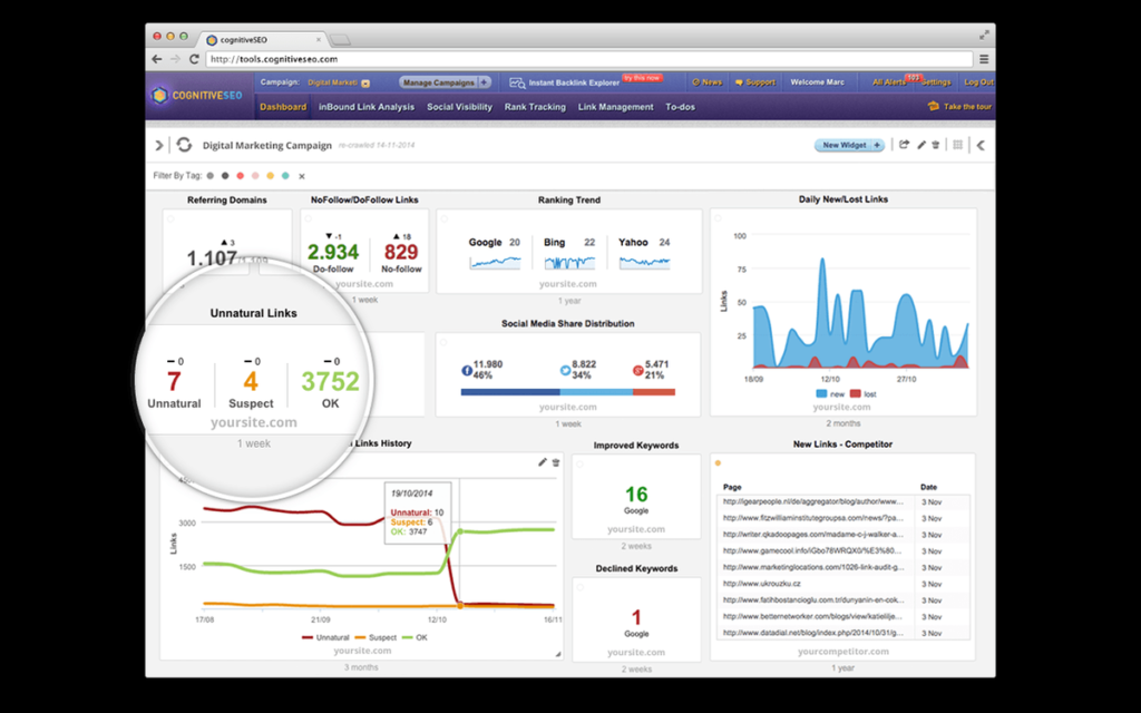 Image cognitiveSEO 5