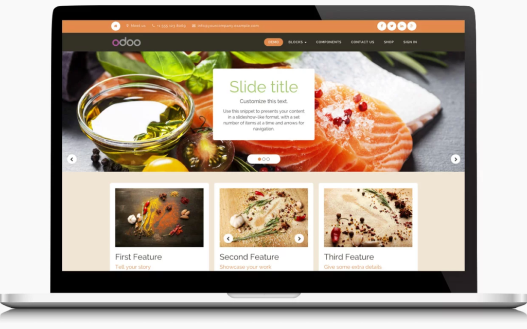 Interface de Odoo
